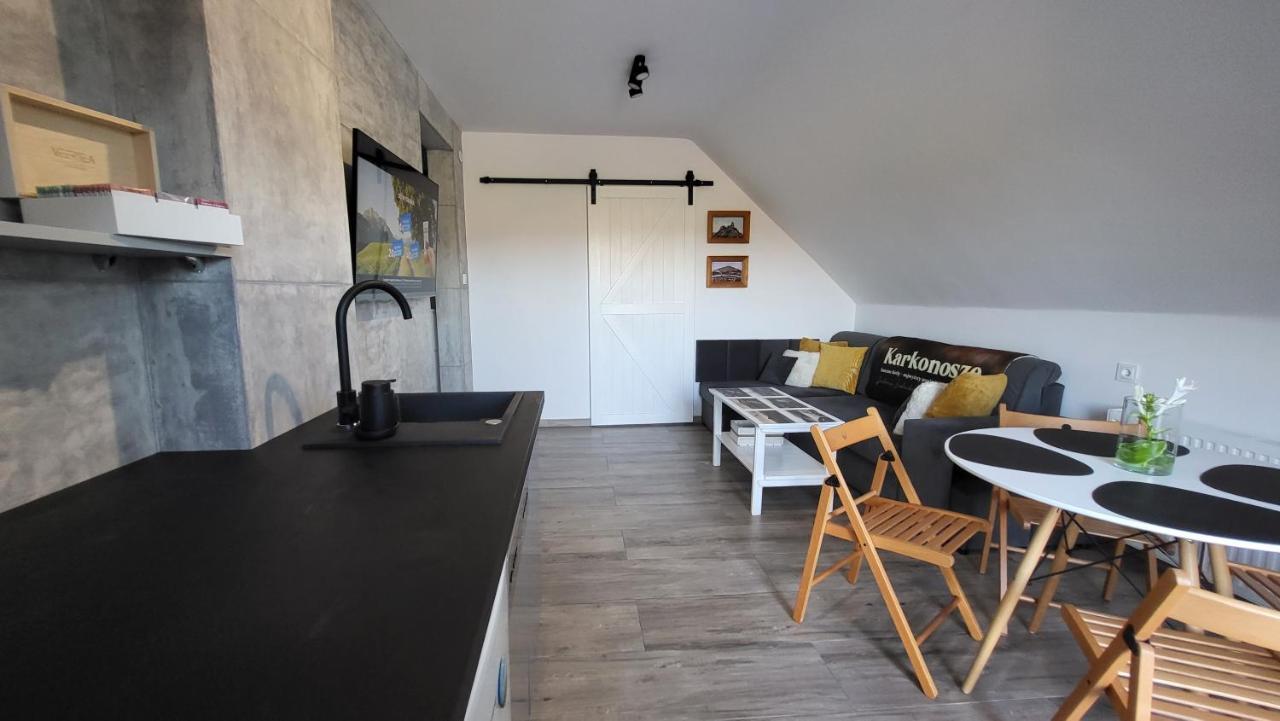 Swit - Apartament W Jezowie Sudeckim Jezow Sudecki Экстерьер фото